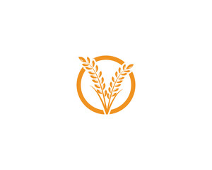 Agriculture wheat rice icon Template vector design