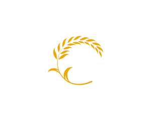 Agriculture wheat rice icon Template vector design