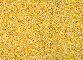 Millet background