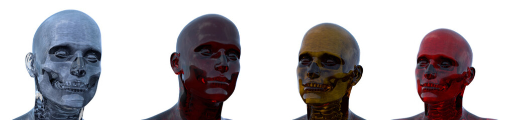 3d rendering illustration of human anatomy