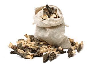 Morel mushrooms on white background