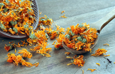 dried calendula flowers in a wooden spoon. calendula tea. alternative medicine - obrazy, fototapety, plakaty