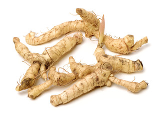 Polygonatum sibiricum on white background