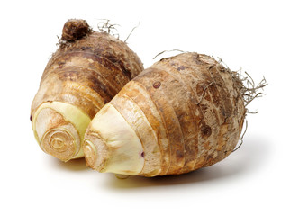 Taro on a white background