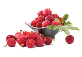 arbutus on a white background