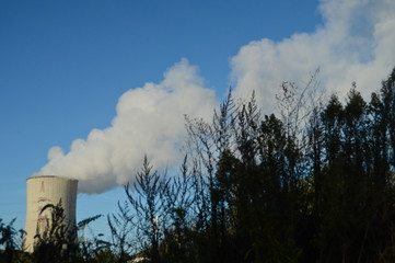 centrale nucleaire electricité environnement