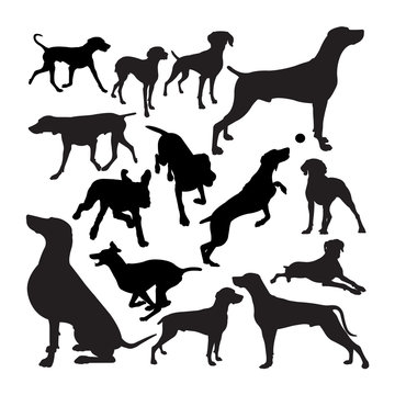 Weimaraner dog animal silhouettes. Good use for symbol, logo, web icon, mascot, sign, or any design you want.