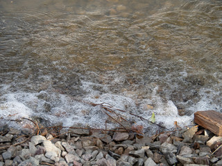 The river Bank, the waves roll on the shore. Copy space.