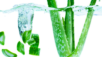 Aloe vera splashing water on black background
