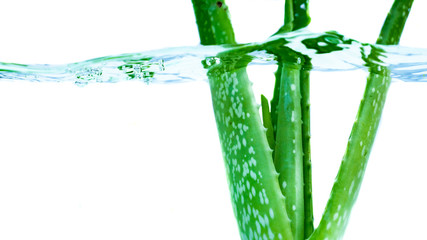 Aloe vera splashing water on black background