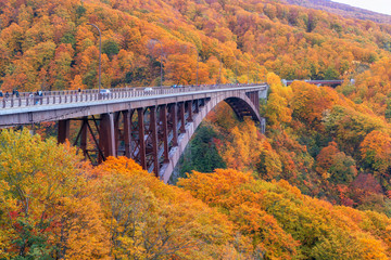 Japan - October 21: Traveller goes to see the color leaf in autumn at Jogakura Bridge, Aomori, Japan on October 21, 2019 - 301527679
