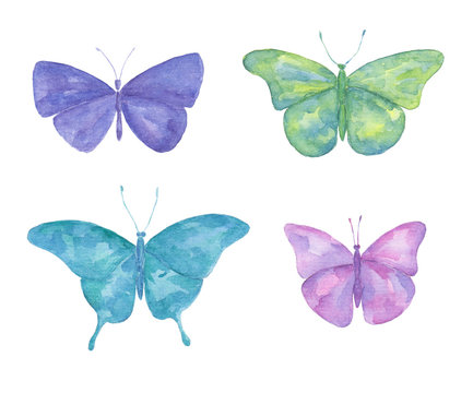 Watercolor collection with colorful butterflies.