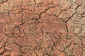 Old Weathered Dry Cracked Reddish Texture