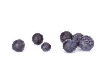 Fresh blueberry from forest isolated on white background