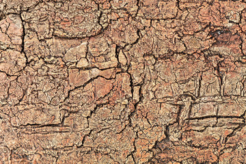 Old Weathered Dry Cracked Reddish Texture