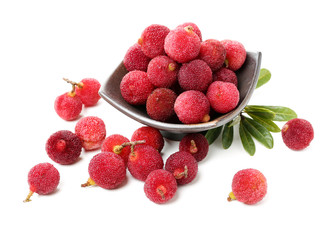 arbutus on a white background