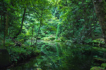 Fototapeta na wymiar Hidden Beautiful nature spot, Ishikawa, Japan