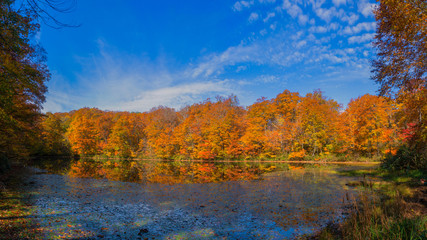 Panorama Karikomichi autumn leaves fukui prefecture japan