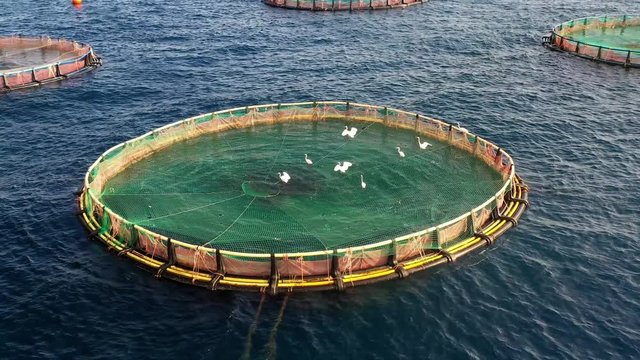 Sea fish farm. Cages for fish farming in mediterranean sea