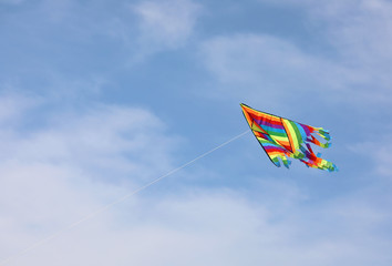 colorful kite flies in the sky