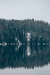 Muurstickers Mistig bos Frozen lake in Finland near Helsinki