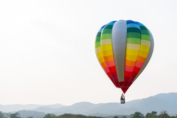 Colorful balloon in the country garden