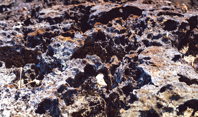 lava rock along the coastline