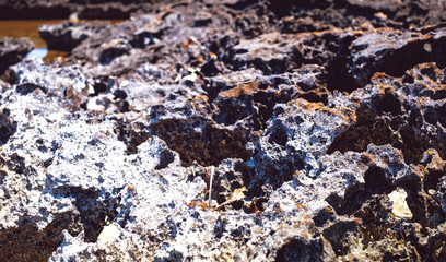 lava rock along the coastline