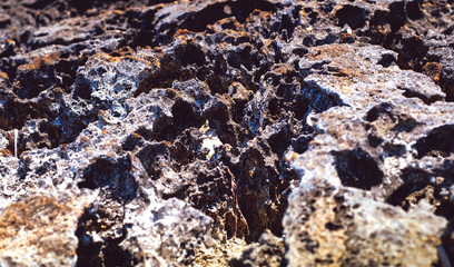 lava rock along the coastline