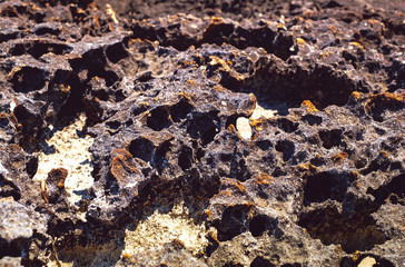 lava rock along the coastline