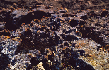 lava rock along the coastline