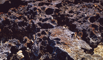 lava rock along the coastline