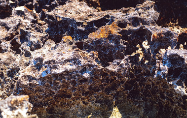 lava rock along the coastline