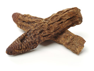 Cynomorium songaricum  Rupr on white background