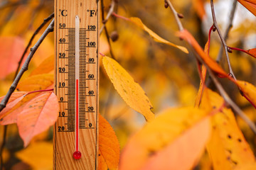 thermometer and yellow leaves,  concept of autumn weather