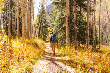 Fototapeta premium Hike in autumn season