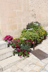 Beautiful flower pot decoration against creamy tufa stone wall