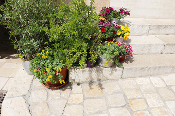 Fototapeta na wymiar Beautiful flower pot decoration on creamy tufa stone stairs