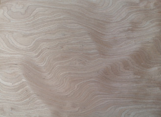 Fototapeta na wymiar VENEER burls wood Pattern brown wooden material finish surface furniture burr texture wall background