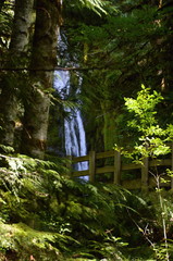 Olympic National Park, Washington