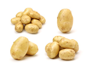 New potato isolated on white background 