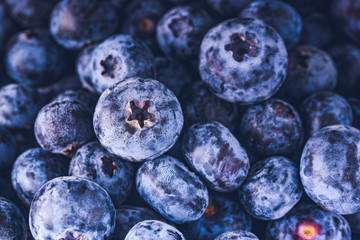 Surface is covered with a thick layer of blueberries. Natural background. Vaccinium uliginosum bog bilberry, bog blueberry, heath food.