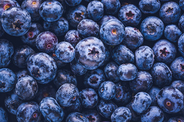 Surface is covered with a thick layer of blueberries. Natural background. Vaccinium uliginosum bog bilberry, bog blueberry, heath food.
