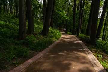 National Park in the center of Moscow - Russia