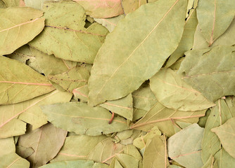 Dried bay leaves texture background
