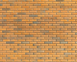 Brick wall in the house