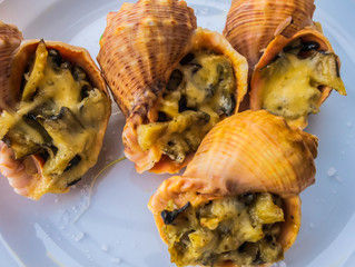 julienne bowls rapana molluscs seashells