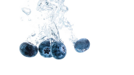 One Organic Blueberry sinking into water with air bubbles white background. Macro detailed closeup.