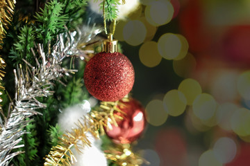 Red ball christmas decoration on green pine tree,Christmas background.