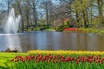 Spring sunny day in the city park, fountain, flowers, people walking.